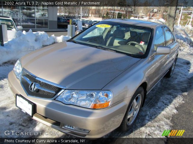 2002 Acura TL 3.2 in Naples Gold Metallic