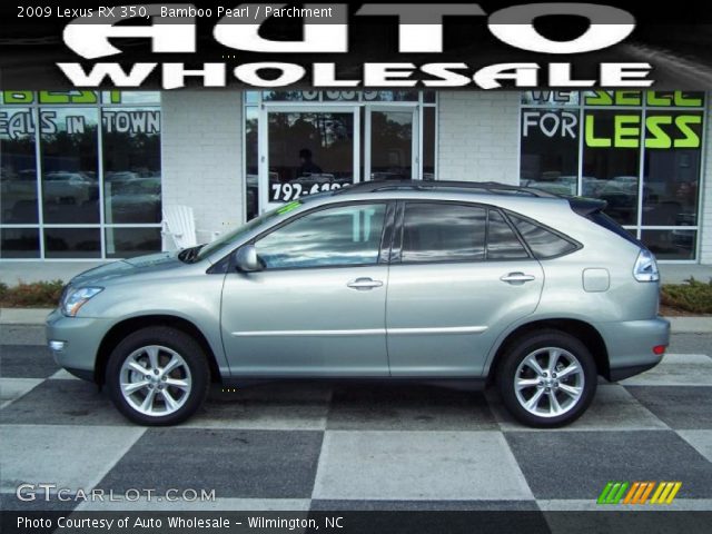 2009 Lexus RX 350 in Bamboo Pearl