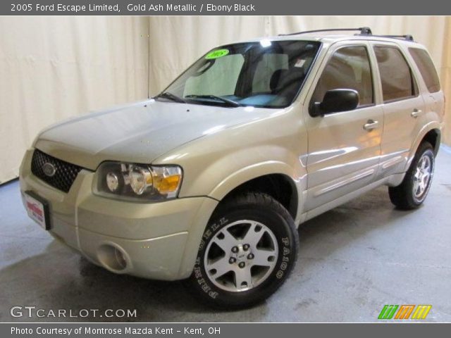 2005 Ford Escape Limited in Gold Ash Metallic