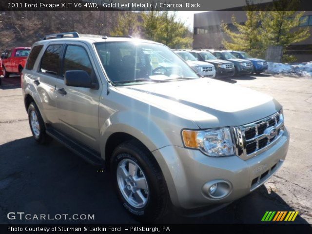 2011 Ford Escape XLT V6 4WD in Gold Leaf Metallic