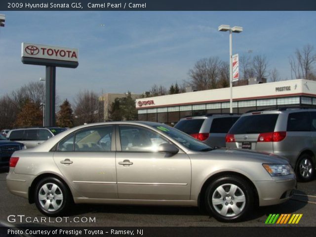 2009 Hyundai Sonata GLS in Camel Pearl
