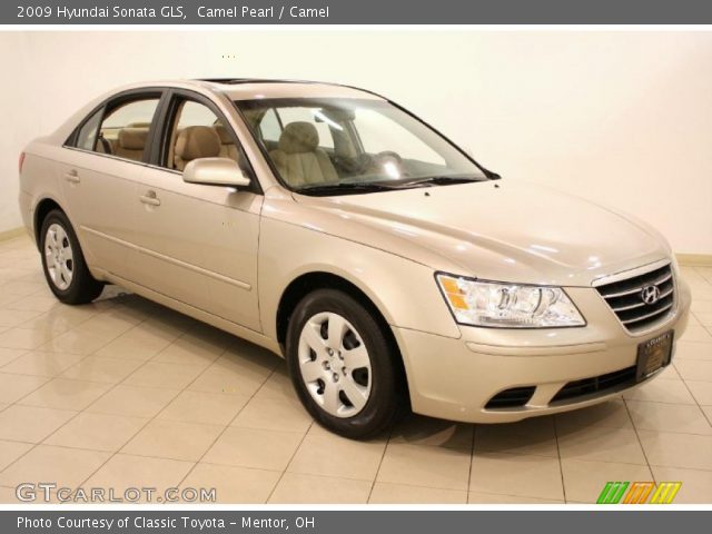 2009 Hyundai Sonata GLS in Camel Pearl