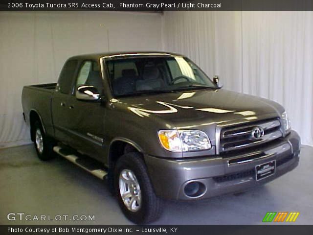 2006 Toyota Tundra SR5 Access Cab in Phantom Gray Pearl