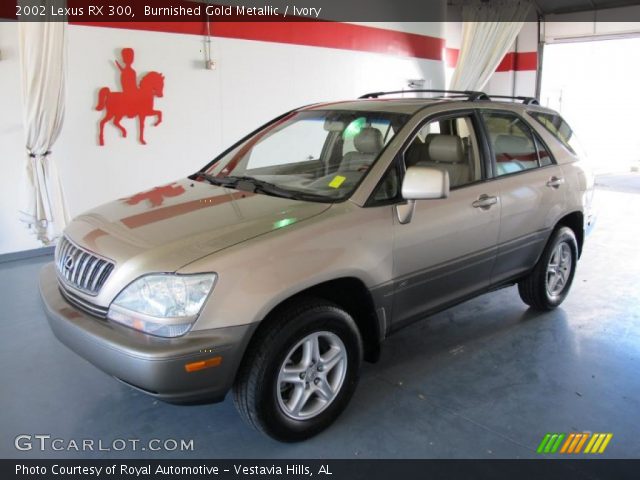 2002 Lexus RX 300 in Burnished Gold Metallic