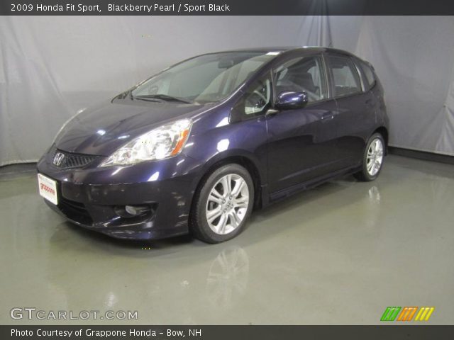 2009 Honda Fit Sport in Blackberry Pearl