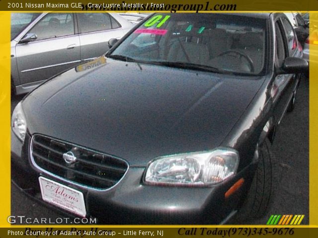 2001 Nissan Maxima GLE in Gray Lustre Metallic