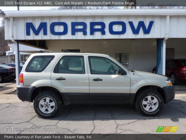 2005 Ford Escape XLS 4WD in Gold Ash Metallic
