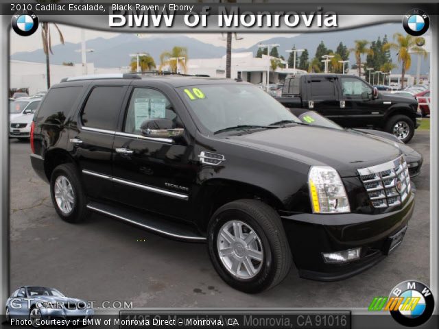 2010 Cadillac Escalade  in Black Raven