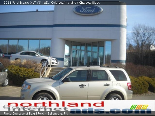 2011 Ford Escape XLT V6 4WD in Gold Leaf Metallic