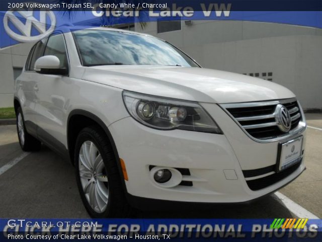 2009 Volkswagen Tiguan SEL in Candy White