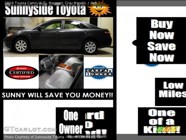 2009 Toyota Camry XLE in Magnetic Gray Metallic