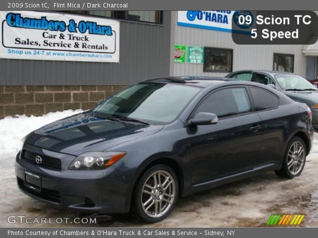 2009 Scion tC  in Flint Mica