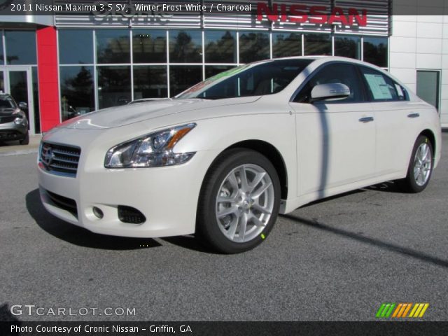 2011 Nissan Maxima 3.5 SV in Winter Frost White