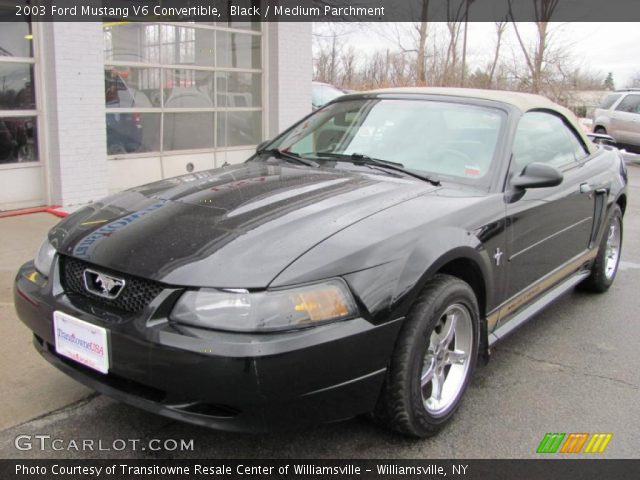 Black 2003 Ford Mustang V6 Convertible Medium Parchment