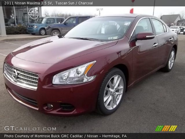 2011 Nissan Maxima 3.5 SV in Tuscan Sun