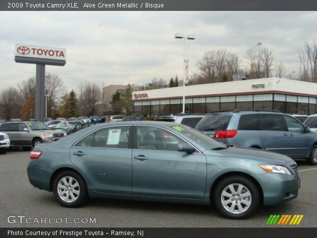 2009 Toyota Camry XLE in Aloe Green Metallic