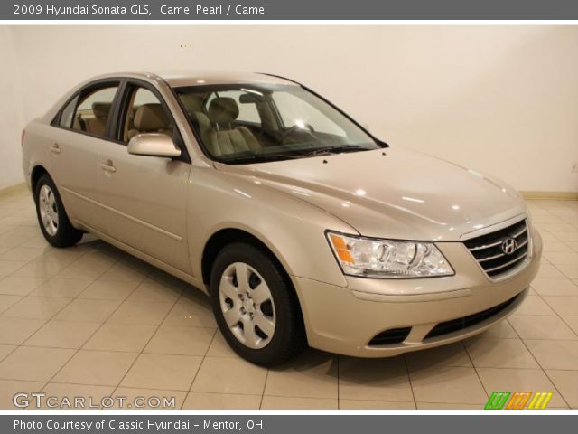 2009 Hyundai Sonata GLS in Camel Pearl