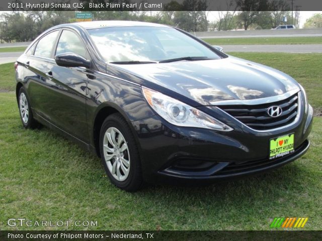 2011 Hyundai Sonata GLS in Black Plum Pearl