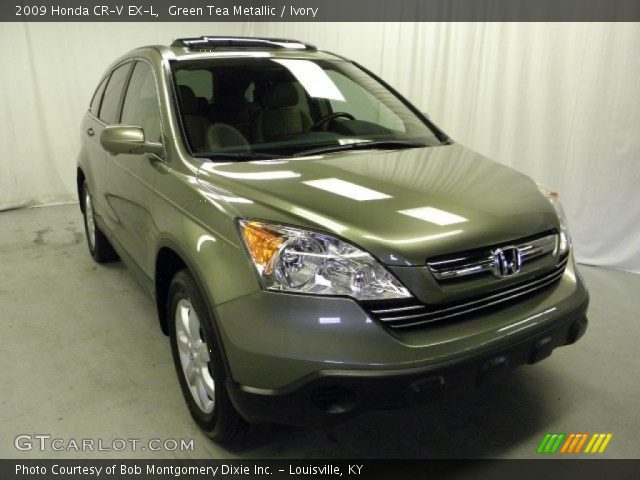 2009 Honda CR-V EX-L in Green Tea Metallic