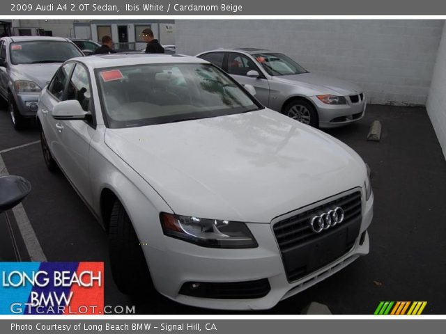2009 Audi A4 2.0T Sedan in Ibis White