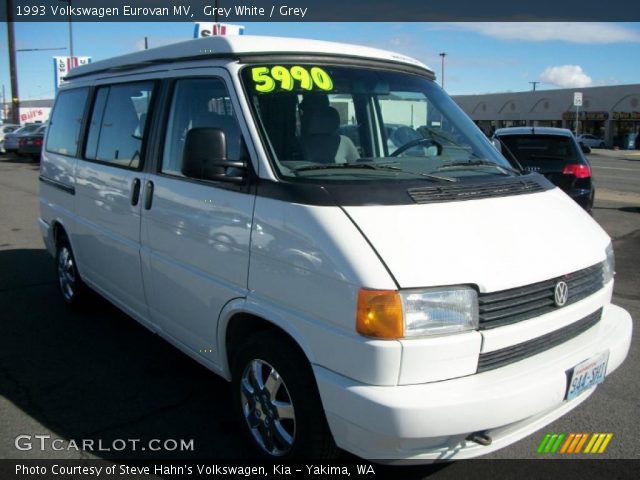 1993 Volkswagen Eurovan MV in Grey White