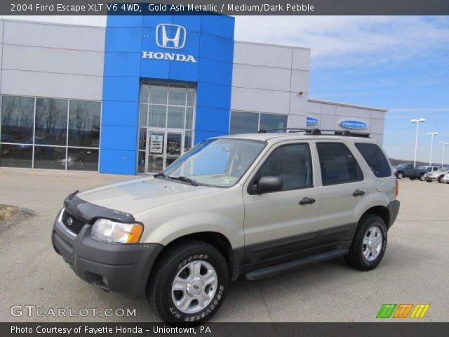 2004 Ford Escape XLT V6 4WD in Gold Ash Metallic