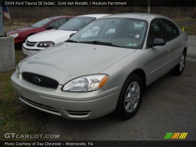 2004 Ford Taurus SE Sedan in Gold Ash Metallic