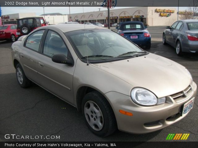 2002 Dodge Neon  in Light Almond Pearl Metallic