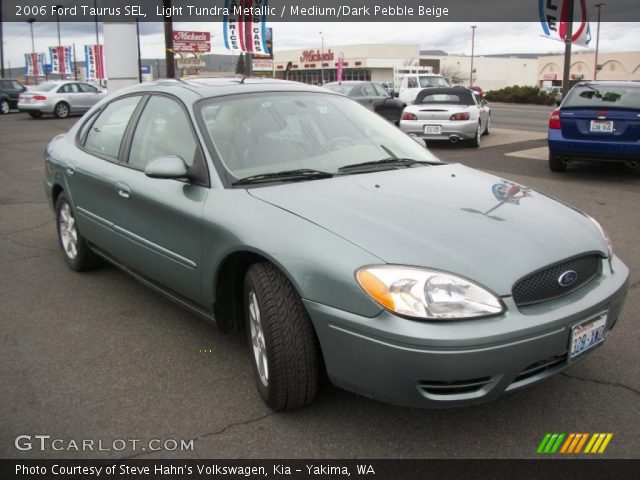2006 Ford Taurus SEL in Light Tundra Metallic