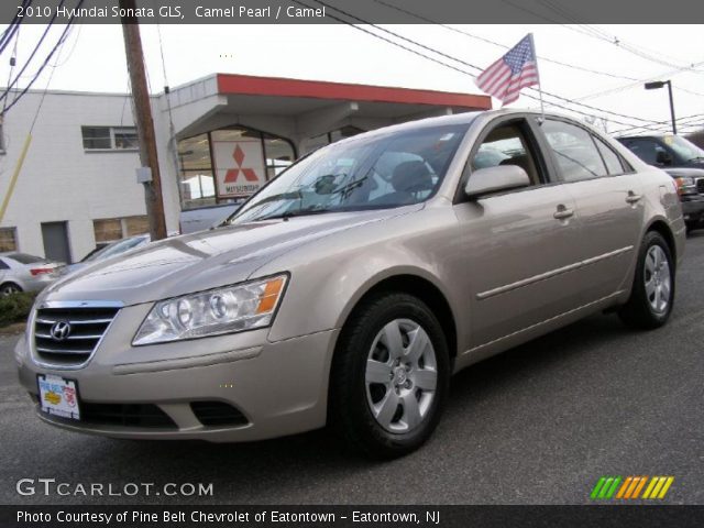 2010 Hyundai Sonata GLS in Camel Pearl