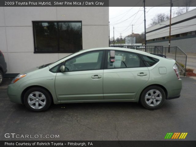 Silver pine mica toyota prius