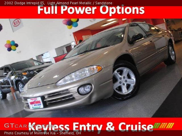 2002 Dodge Intrepid ES in Light Almond Pearl Metallic