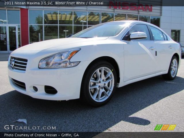 2011 Nissan Maxima 3.5 SV in Winter Frost White