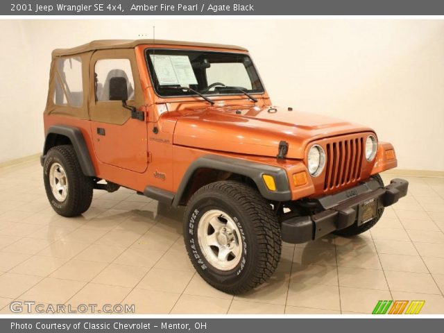 2001 Jeep Wrangler SE 4x4 in Amber Fire Pearl