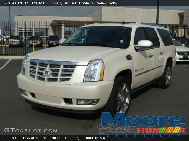 2009 Cadillac Escalade ESV AWD in White Diamond