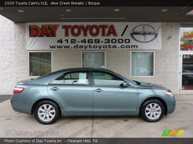 2009 Toyota Camry XLE in Aloe Green Metallic