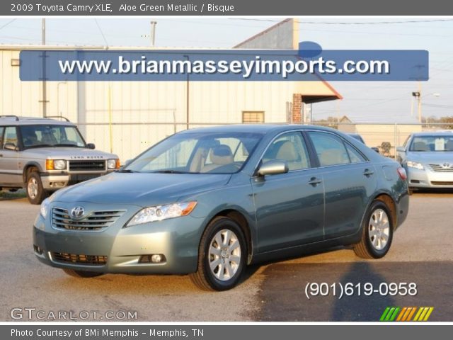 2009 Toyota Camry XLE in Aloe Green Metallic
