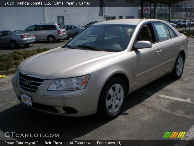 2010 Hyundai Sonata GLS in Camel Pearl