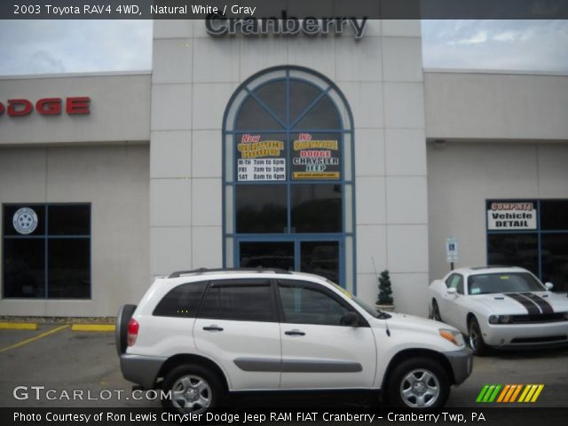 2003 Toyota RAV4 4WD in Natural White