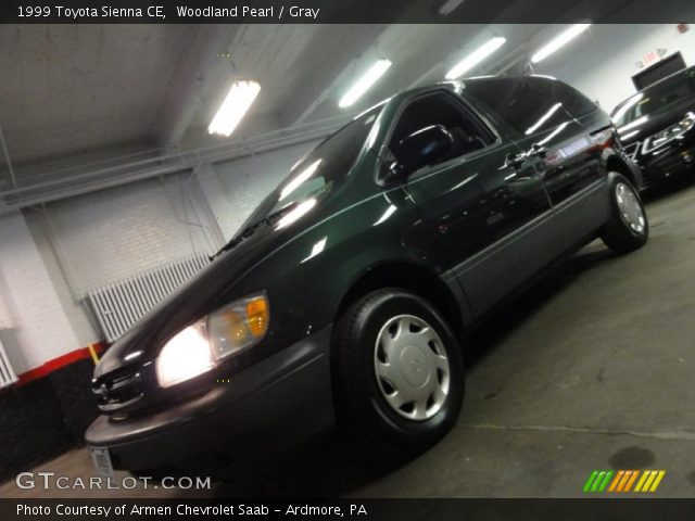 1999 Toyota Sienna CE in Woodland Pearl