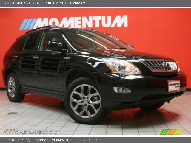 2009 Lexus RX 350 in Truffle Mica