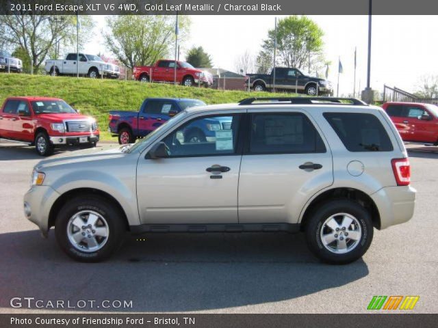 2011 Ford Escape XLT V6 4WD in Gold Leaf Metallic