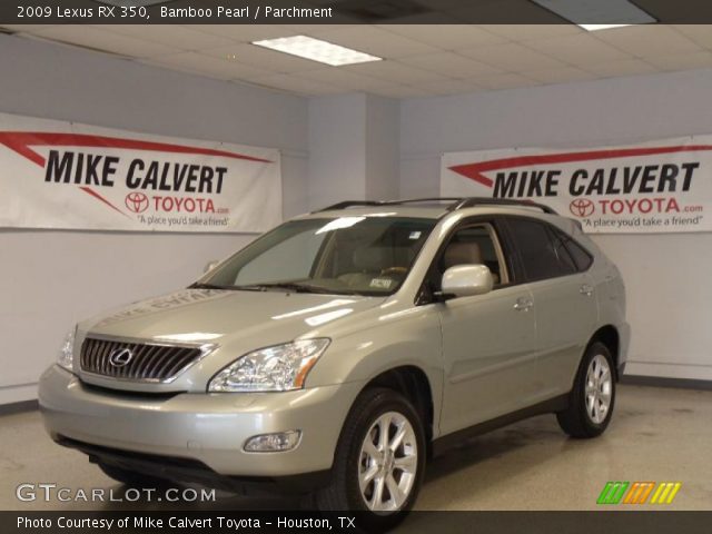 2009 Lexus RX 350 in Bamboo Pearl