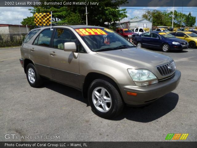 2002 Lexus RX 300 in Burnished Gold Metallic