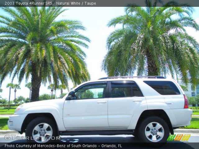 2003 Toyota 4Runner SR5 in Natural White