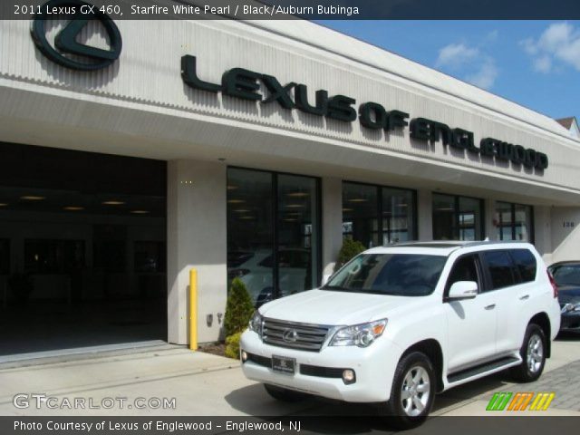 2011 Lexus GX 460 in Starfire White Pearl