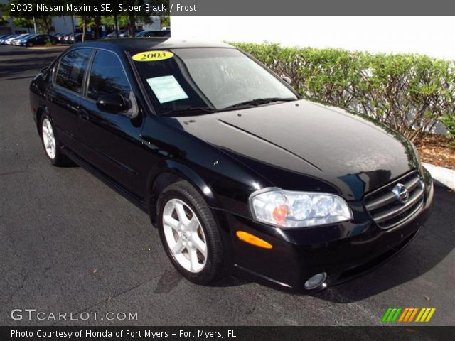 2003 Nissan Maxima SE in Super Black