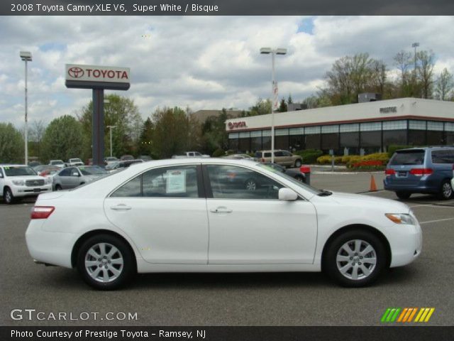 2008 Toyota Camry XLE V6 in Super White