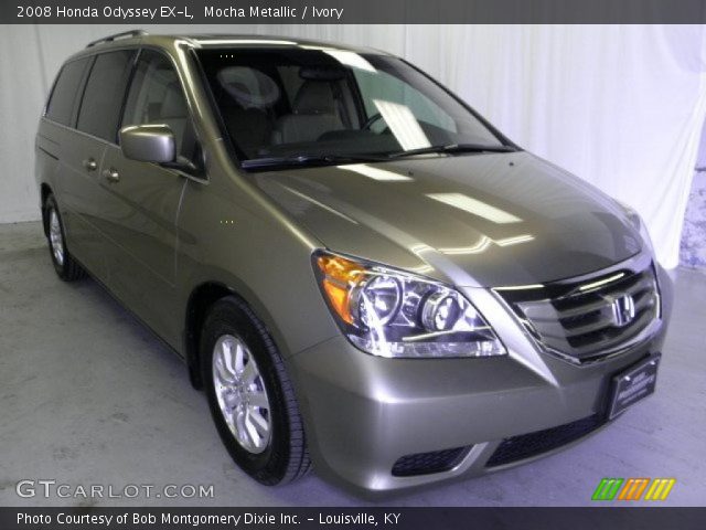 2008 Honda Odyssey EX-L in Mocha Metallic