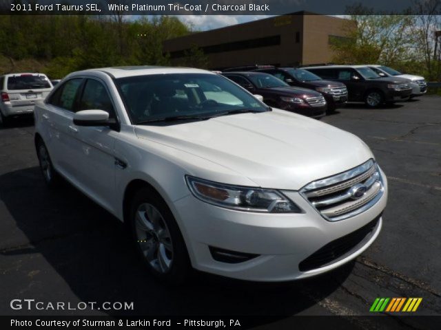 2011 Ford Taurus SEL in White Platinum Tri-Coat